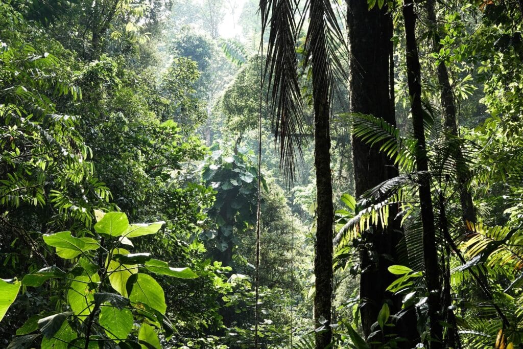 eu-biodiversity-strategy-ohana-public-affairs