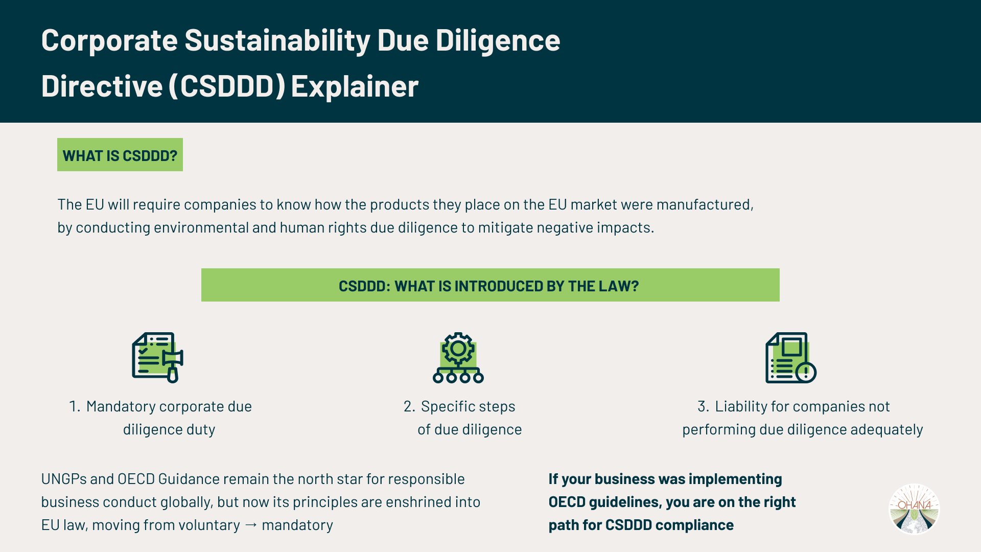 Corporate Sustainability Due Diligence Directive (CSDDD) Explainer - Ohana Public Affairs