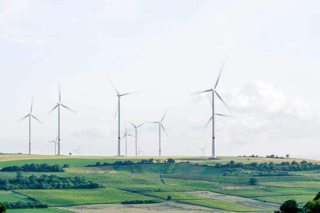 eu-climate-law-explained-ohana-public-affairs