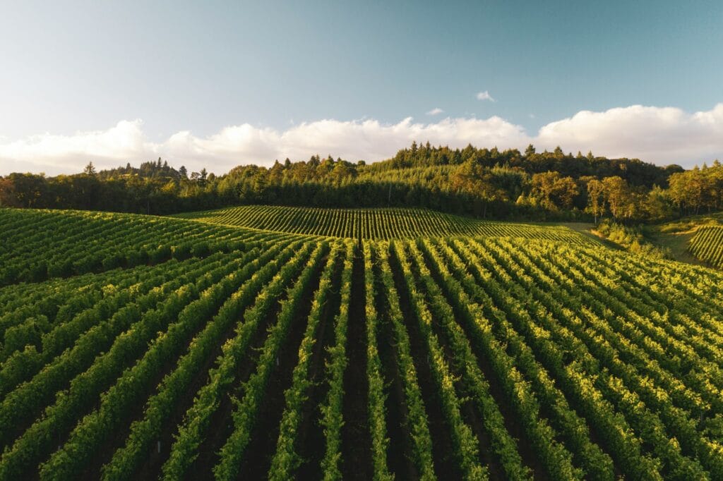 carbon-removal-certification-framework-agri-food-ohana-public-affairs