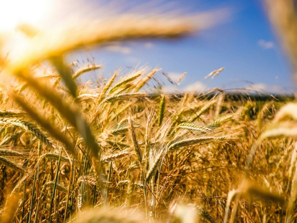 eu-2040-vision-for-Agriculture-and-Food-ohana-public-affairs