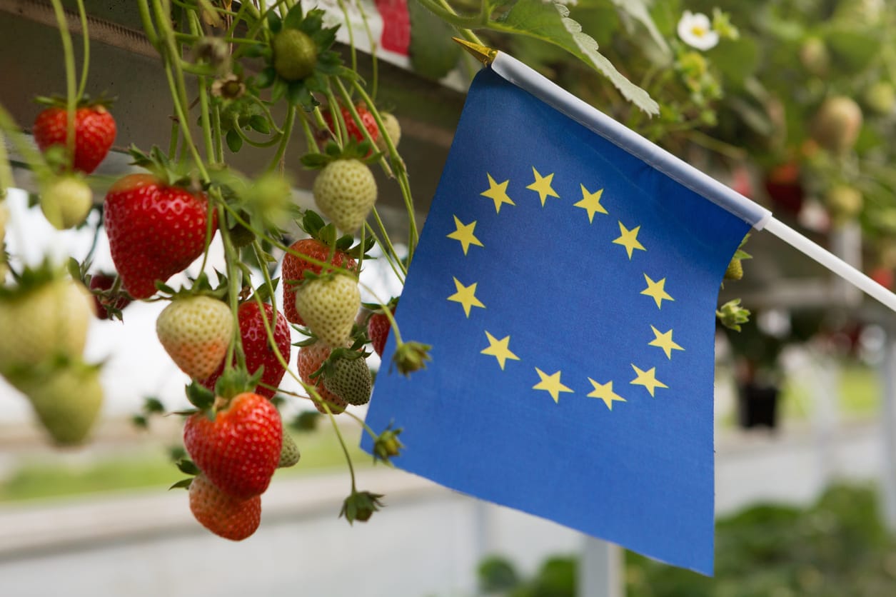 eu-bioeconomy-strategy-agri-food-and-textiles-ohana-public-affairs