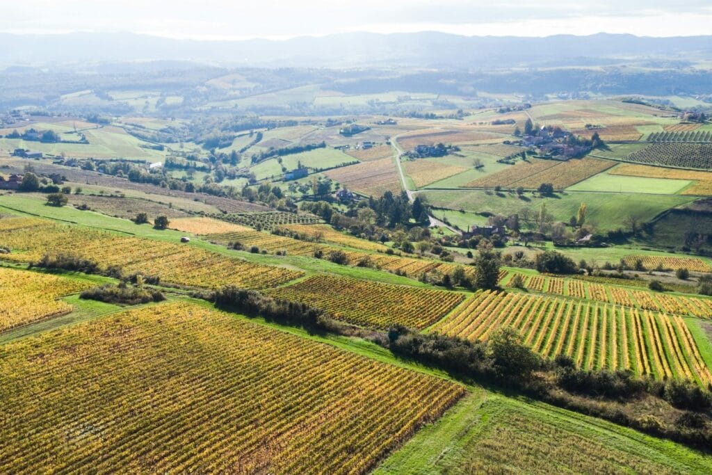 eudr-faqs-trustrace-collaboration-part-2-ohana-public-affairs